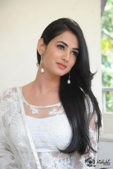 Sonal Chauhan at Legend Movie Press Meet
